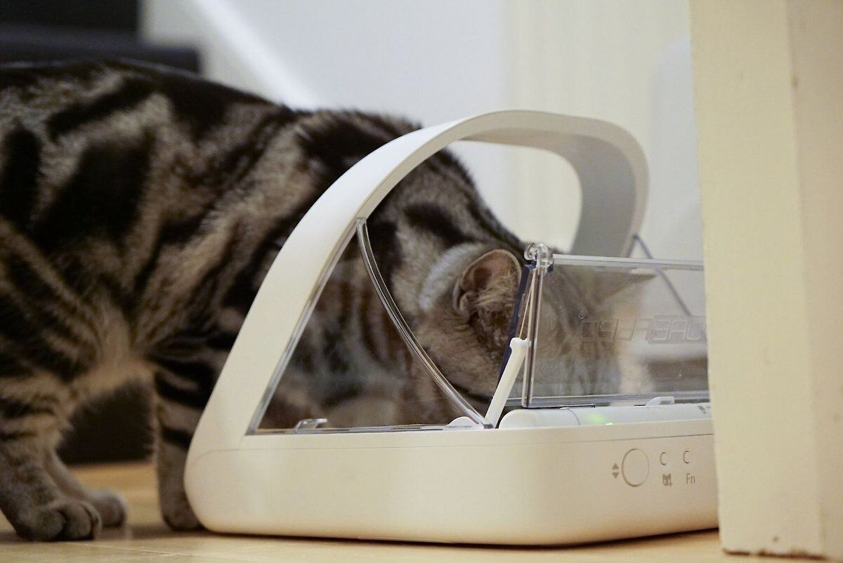 5. SureFeed Microchip Feeder
